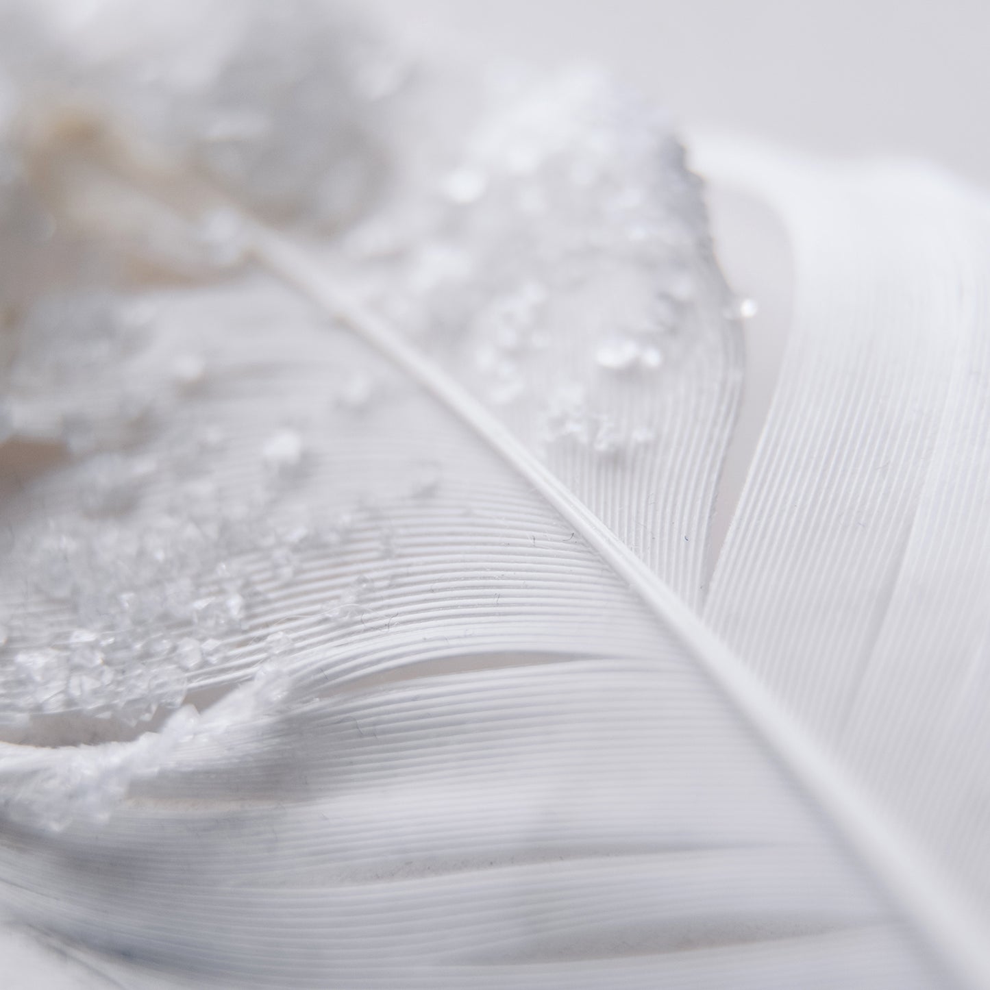 Capa de peluquería con cuello de silicona, 100% poliéster